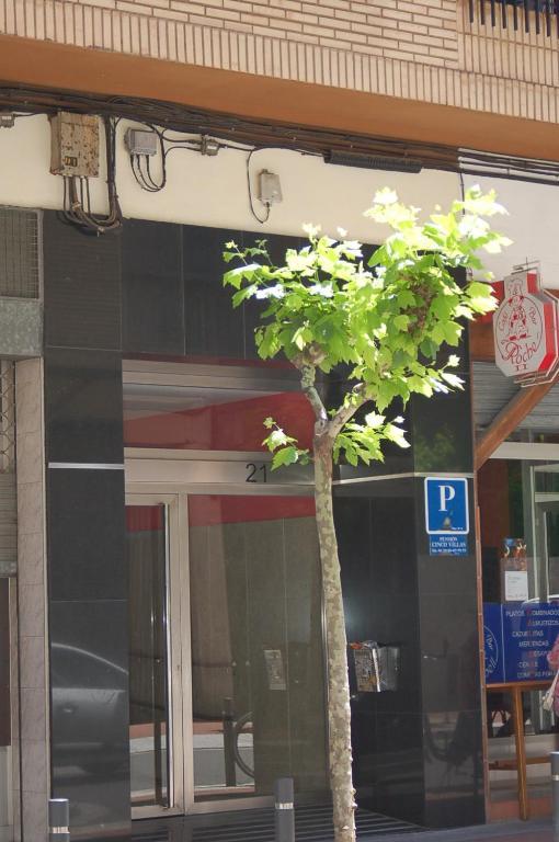 Pension Cinco Villas Logroño Exteriör bild